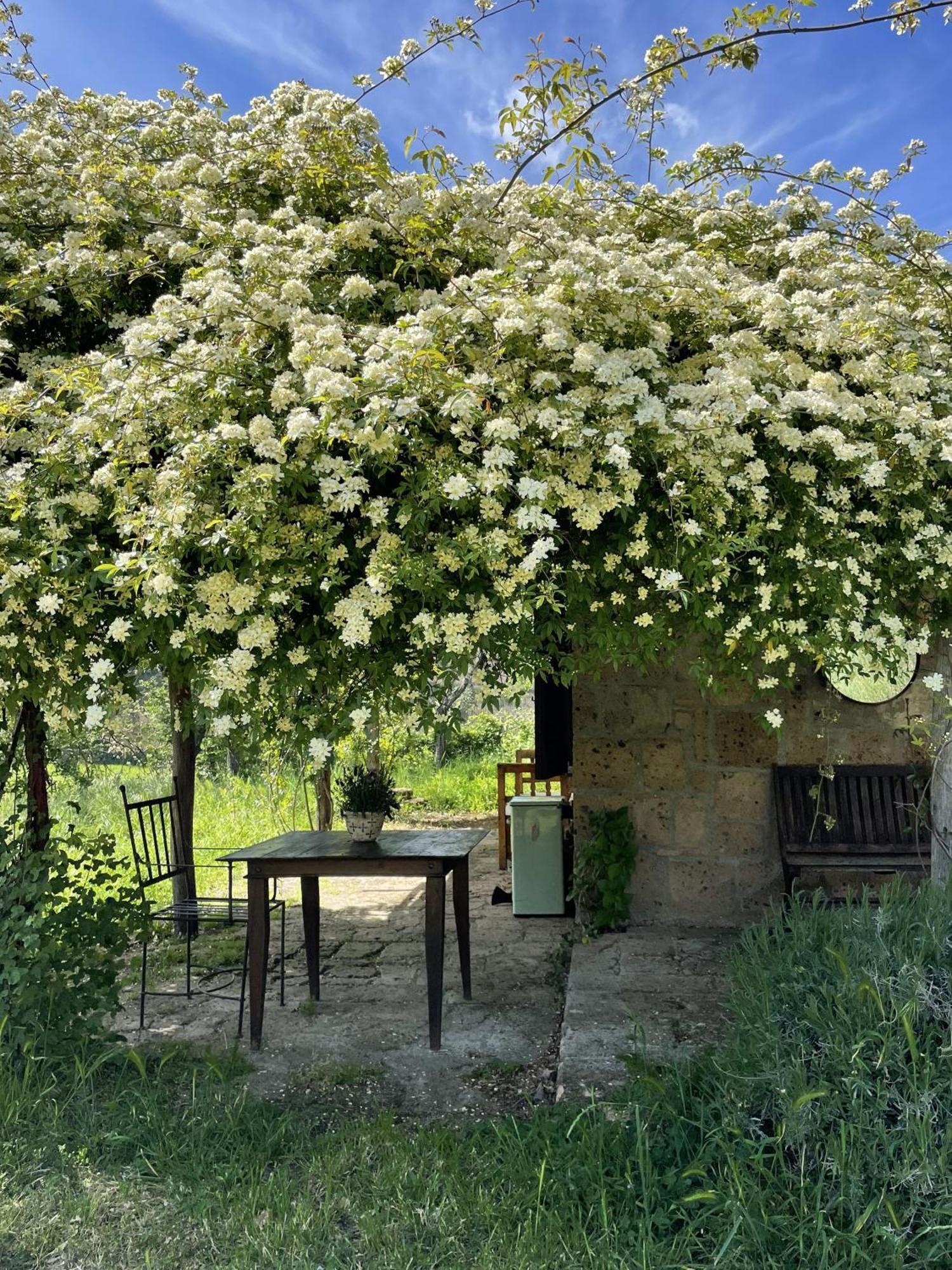 Agriturismo Locanda Settimo Cielo Lubriano Exterior foto