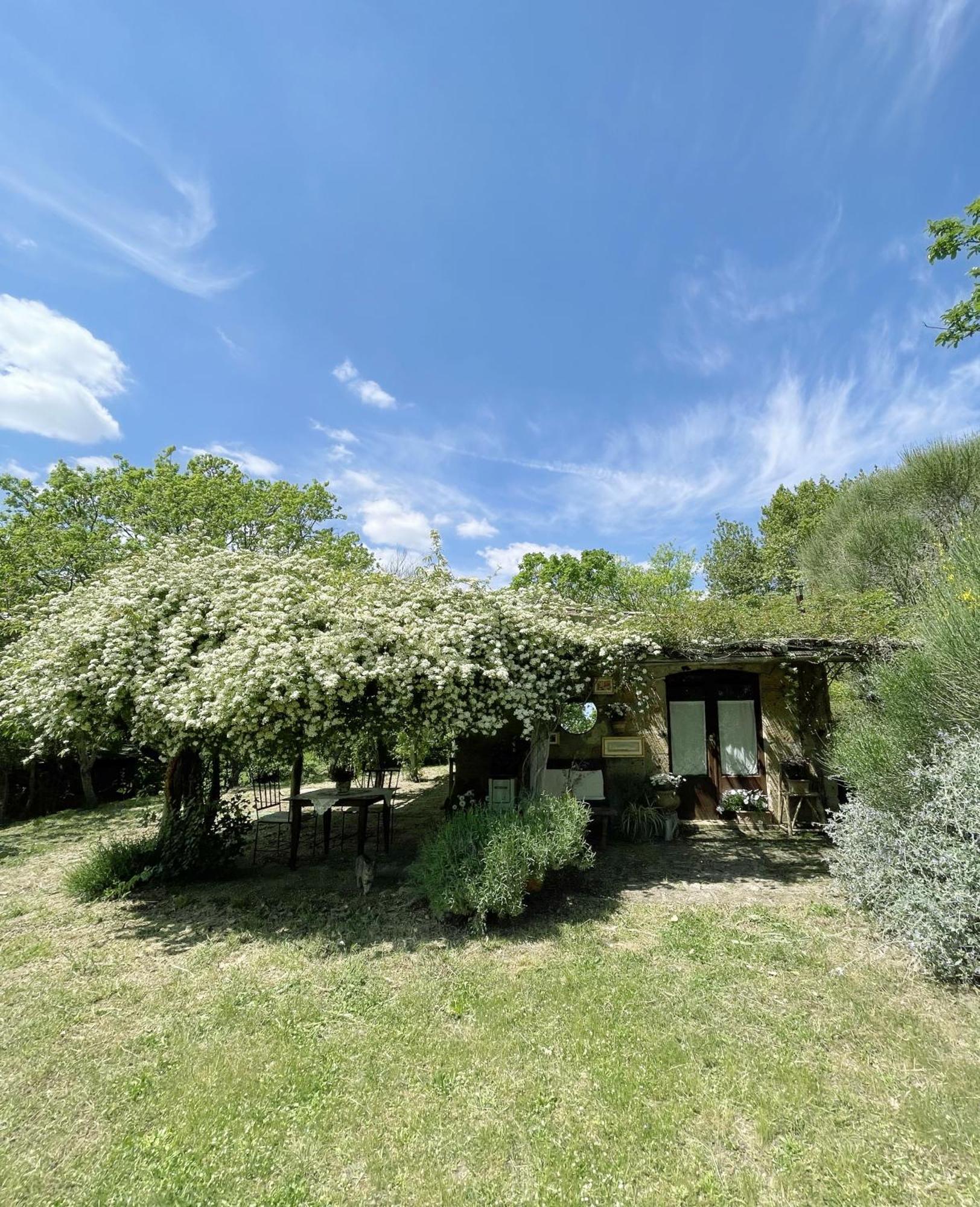 Agriturismo Locanda Settimo Cielo Lubriano Exterior foto
