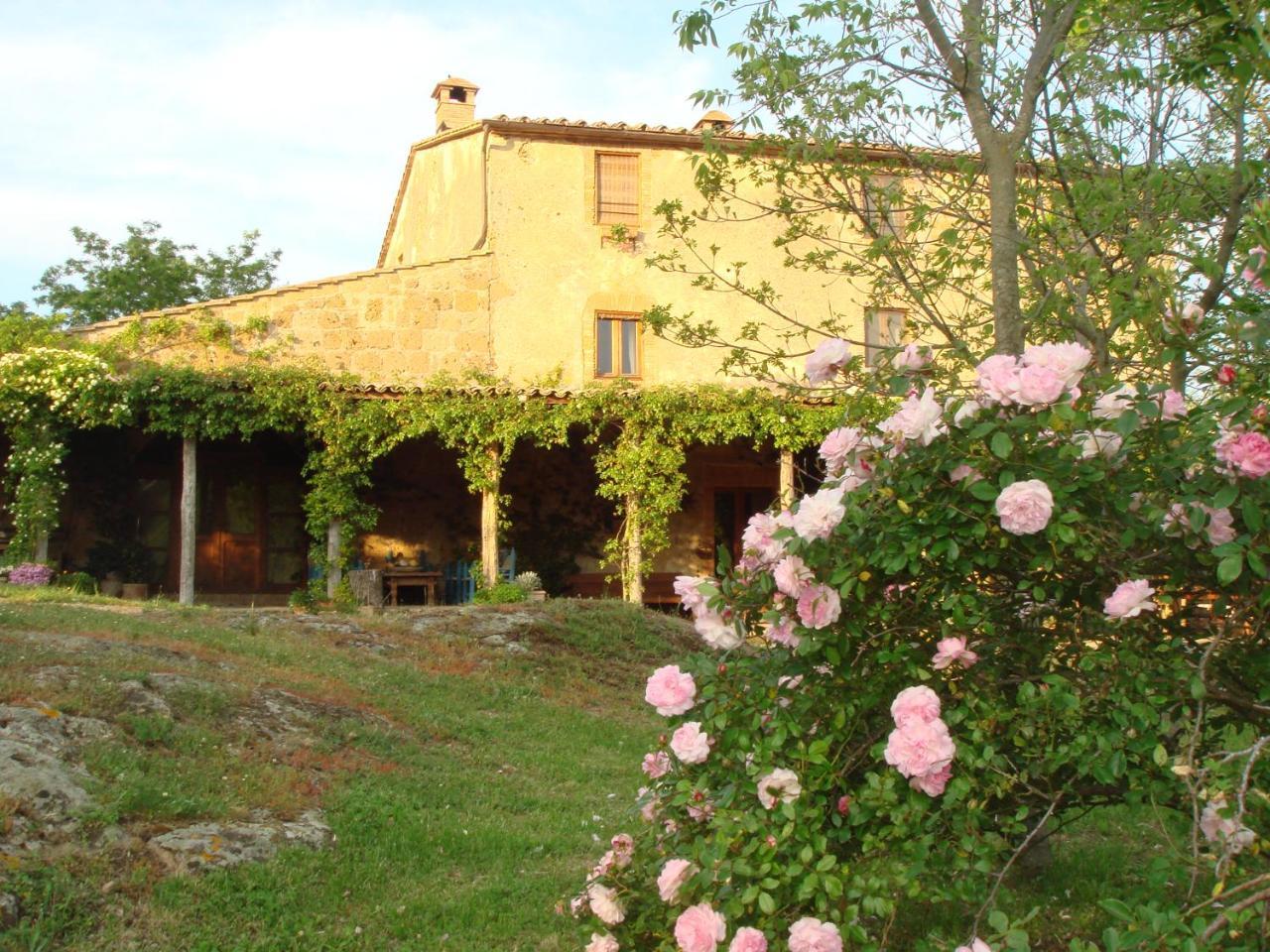 Agriturismo Locanda Settimo Cielo Lubriano Exterior foto