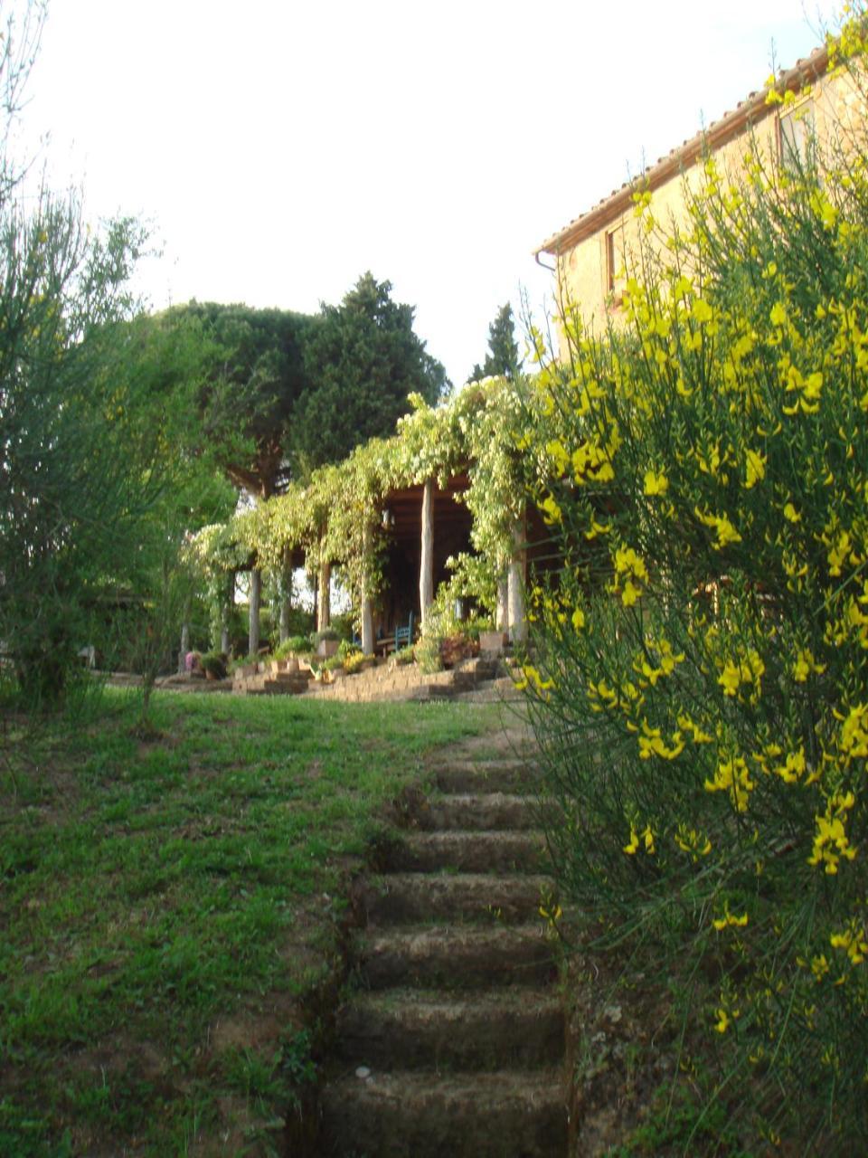Agriturismo Locanda Settimo Cielo Lubriano Exterior foto